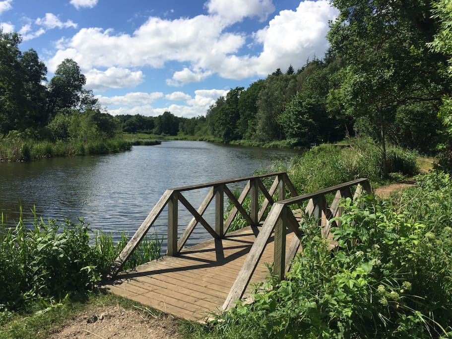 Small idyllic lake just behind the card board factory