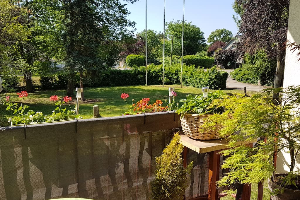 Petit-déj en terrasse avec vue sur le parc