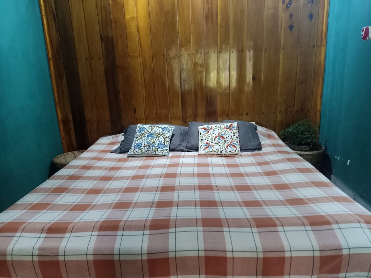 A spacious bed is centered against a wooden feature wall, adorned with two decorative pillows. A plaid blanket adds a subtle warmth to the overall aesthetic. Natural elements, such as a small plant, are positioned nearby, creating a calming atmosphere within the room.