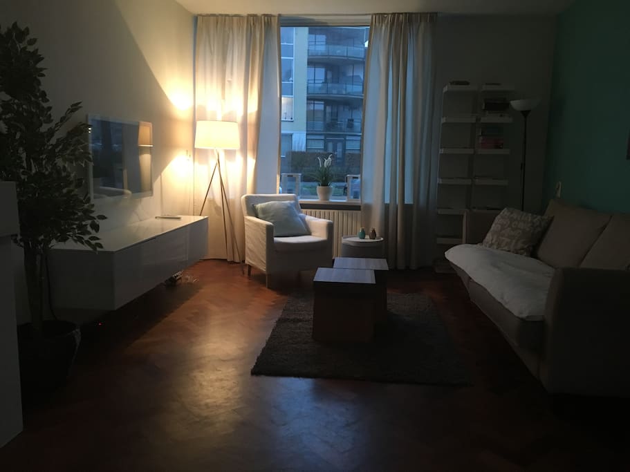 Spacious and cozy living room