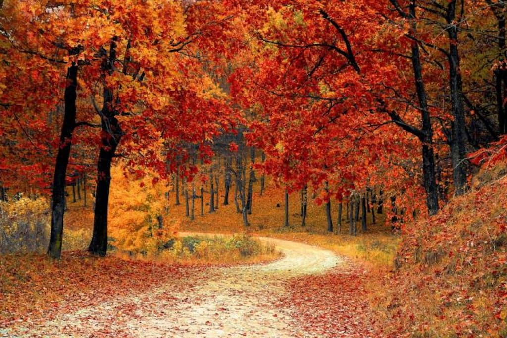 Fall colours late September to Early October