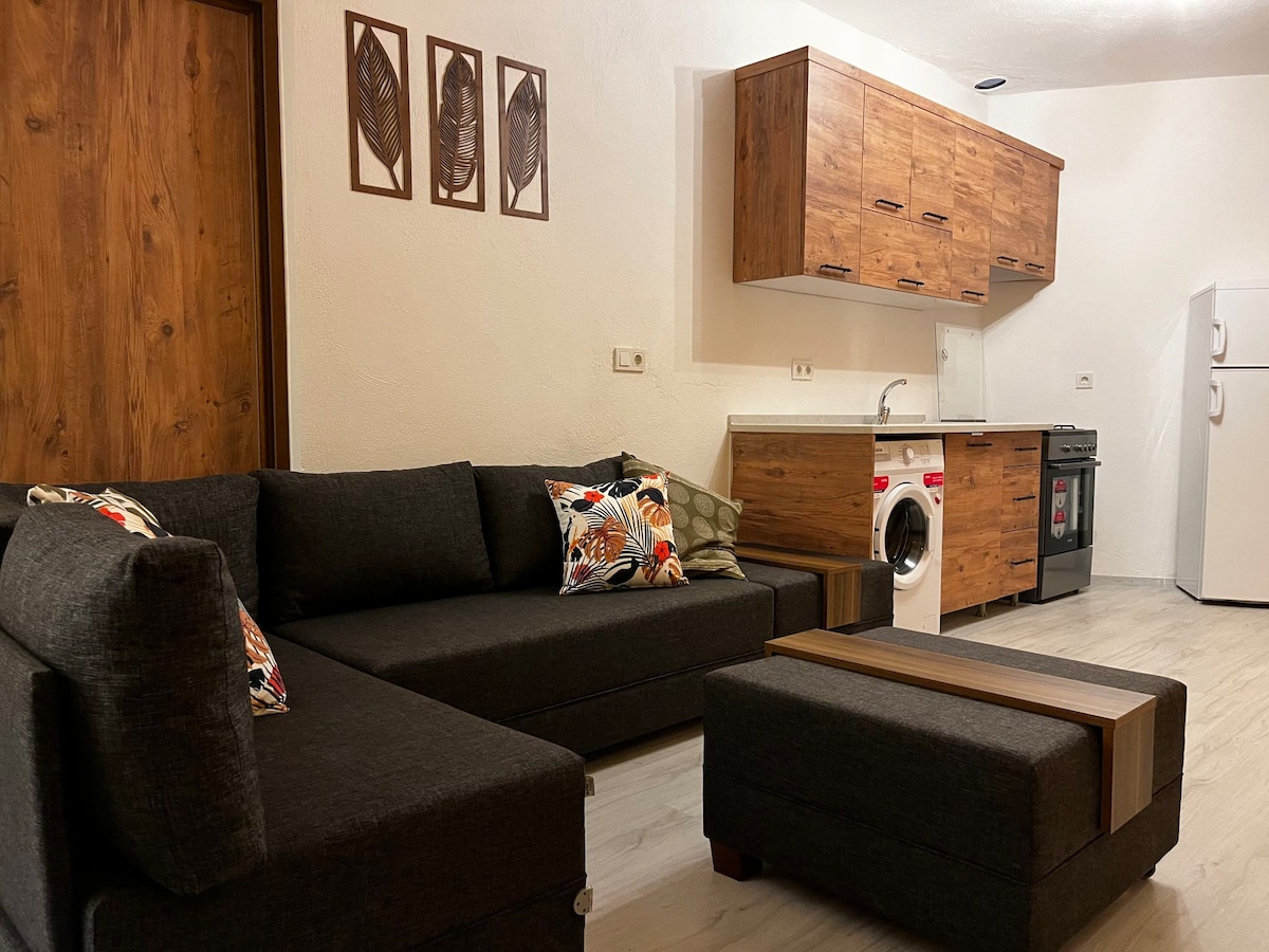 Дневна соба со кујна