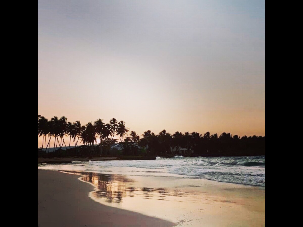 A serene beach scene is presented, featuring gentle waves lapping at the shore. Silhouetted palm trees line the beachfront, while soft colors of the sunset are reflected in the wet sand. The horizon blends seamlessly into the sky, creating a tranquil atmosphere.