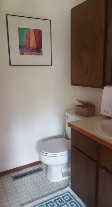 Like a hotel accommodation, the room has a private, integrated 3/4 bathroom with shower, toilet, vanity, and open storage in medicine cabinet.