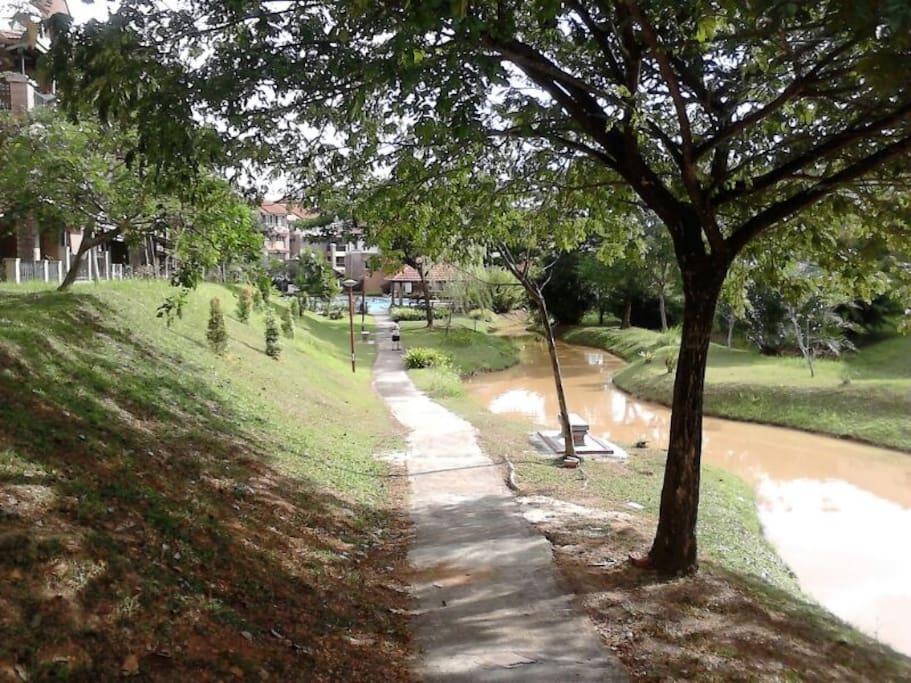 Nature Walk