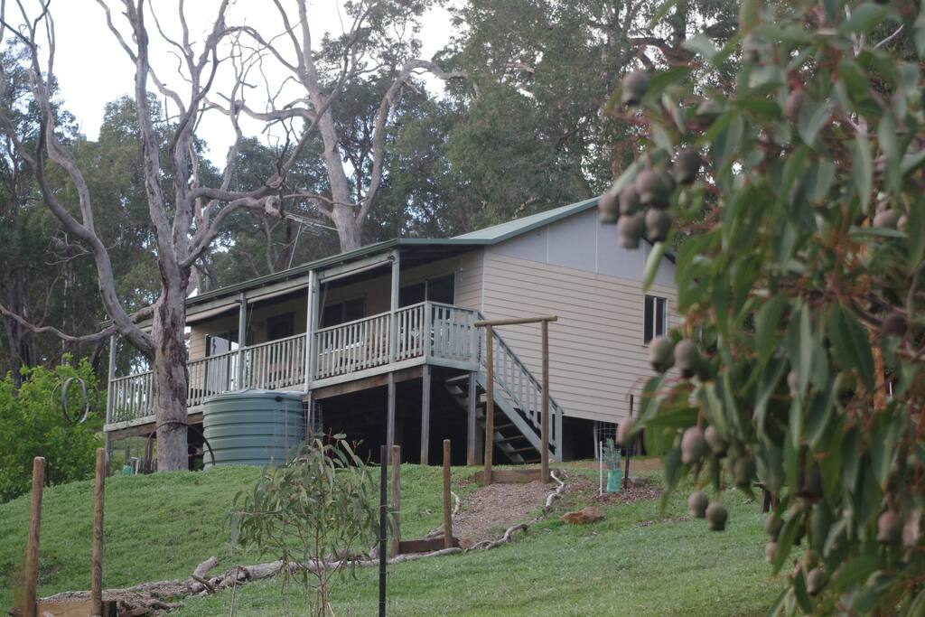 The cabin