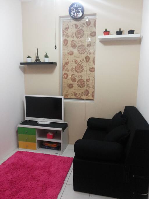 32" Tv, 35 channels, DVD & Sofabed