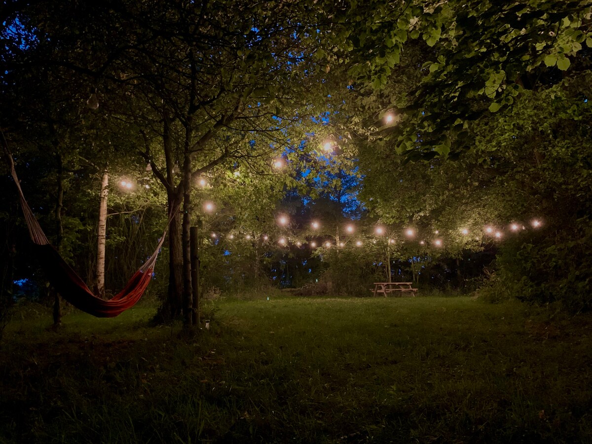 A serene outdoor space is illuminated by soft string lights hanging between trees. A red hammock is seen on one side, while a picnic table rests on the grassy area, surrounded by natural greenery, creating an inviting atmosphere for relaxation.