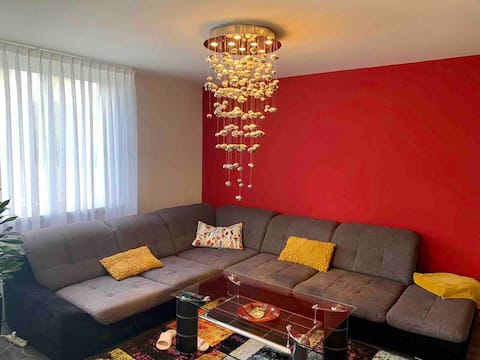 Living in Amsterdam (Private Room - CS area)