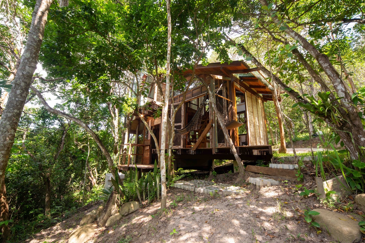 A wooden eco-friendly house is nestled among lush greenery, surrounded by trees. The structure features multiple levels with expansive decks that blend into the natural landscape, providing a serene retreat within the Atlantic Forest.
