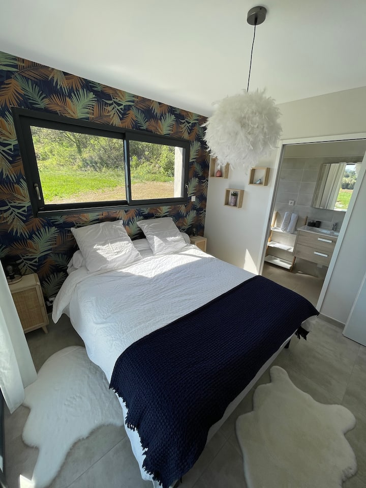 Habitación 1