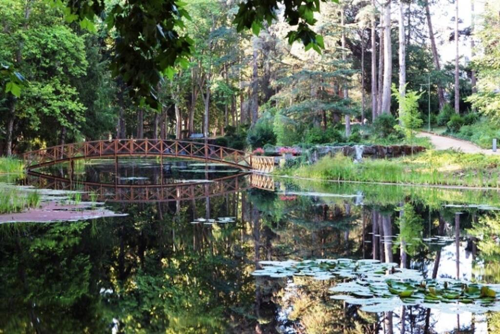 Parque de Vidago