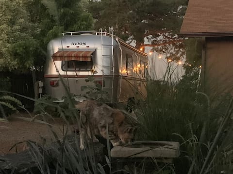 Smith Rock views in Terrebonne in stylish Avion RV