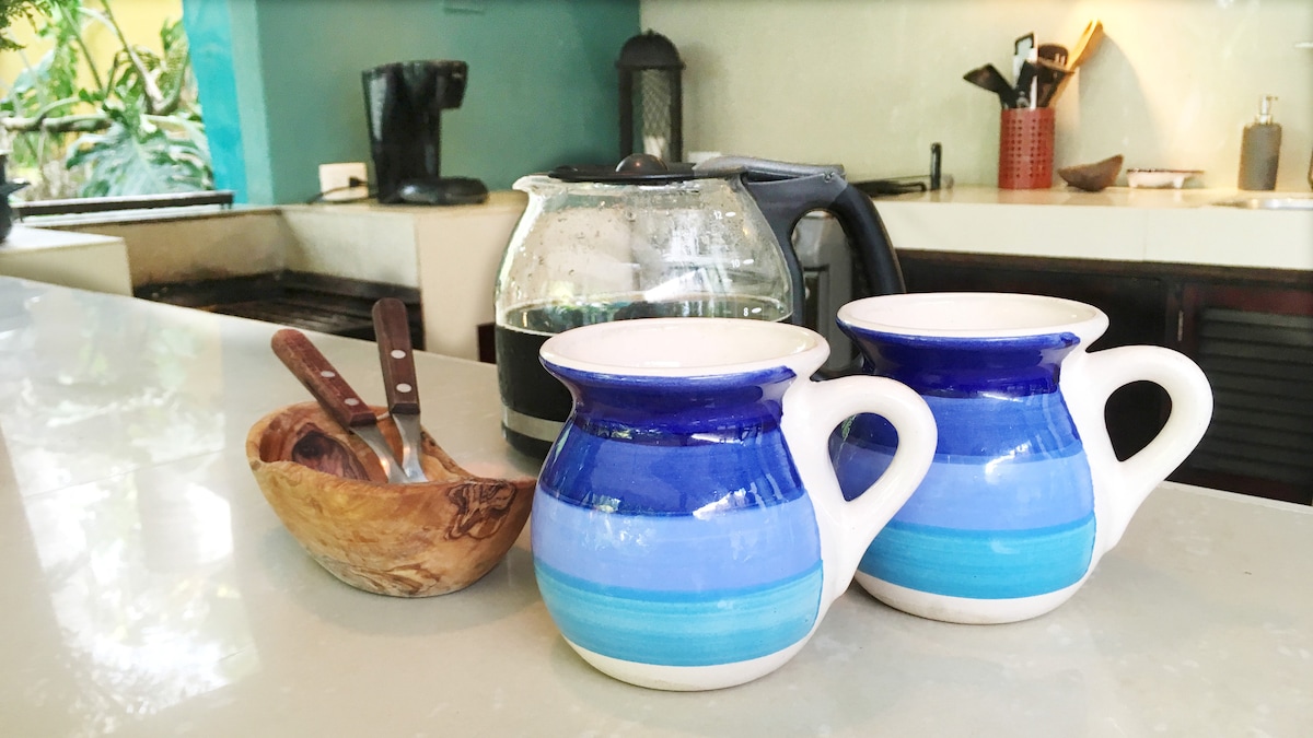 Airbnb con mejor rendimiento: Azul Eco Unit with Pool in Large Tropical Garden en Valladolid