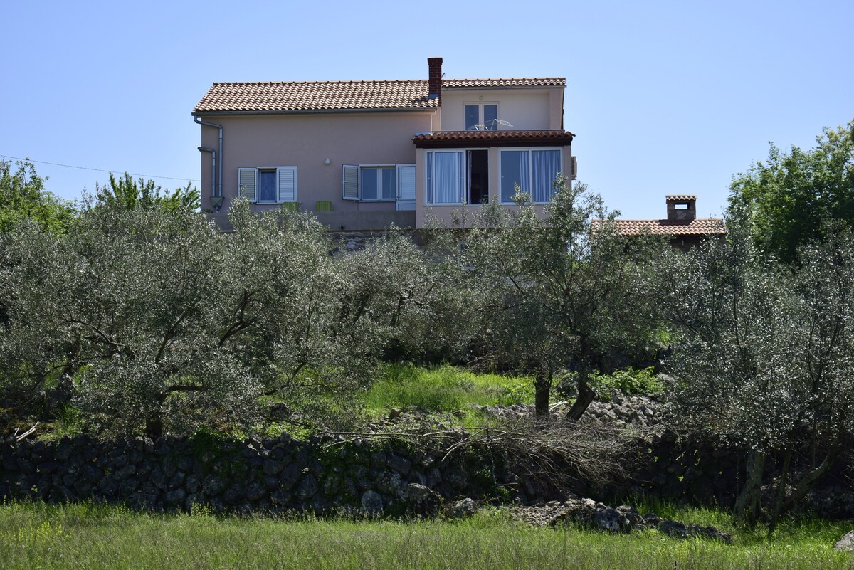 A two-story house is set among lush olive trees, with a stone wall outlining the property. Several windows are visible, reflecting natural light, while a chimney adds to the building's character. The surrounding greenery contributes to the serene environment.