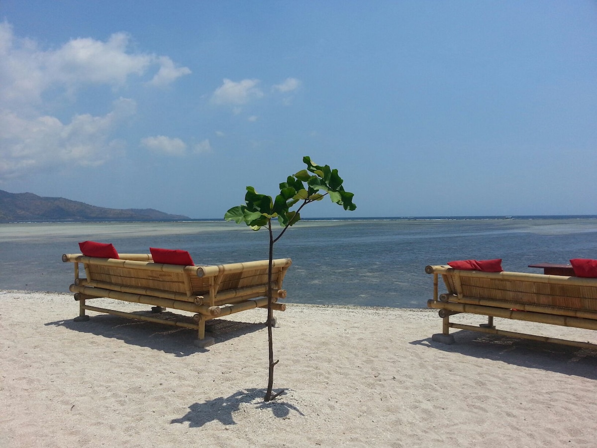 Two wooden lounge chairs adorned with red cushions are positioned on a sandy beach, facing a calm, shallow body of water. A small green tree stands next to the seating area, contributing to the serene coastal ambiance under a clear blue sky.