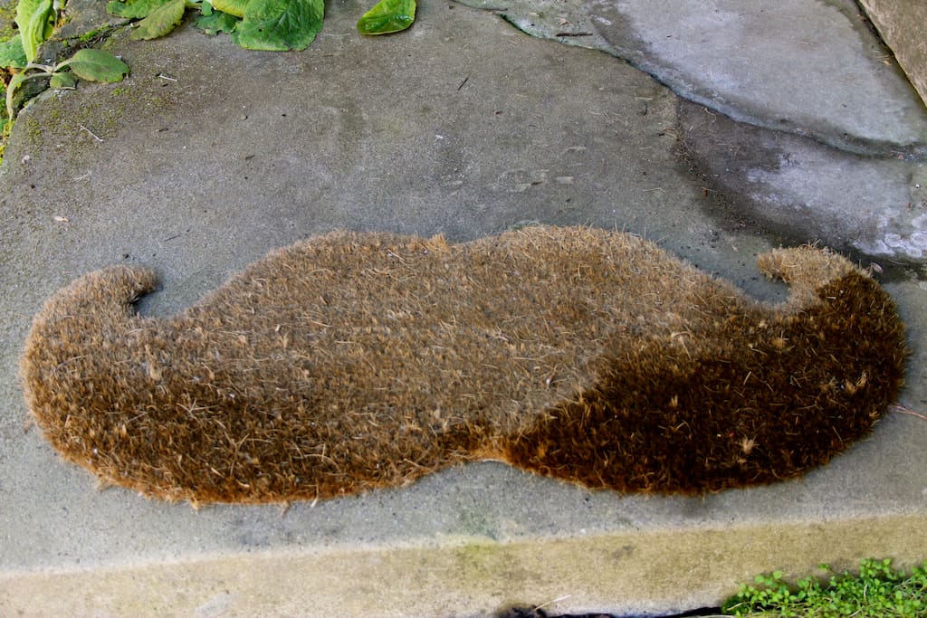 The famous welcome mat mustache!