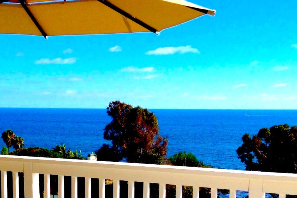 Deck view