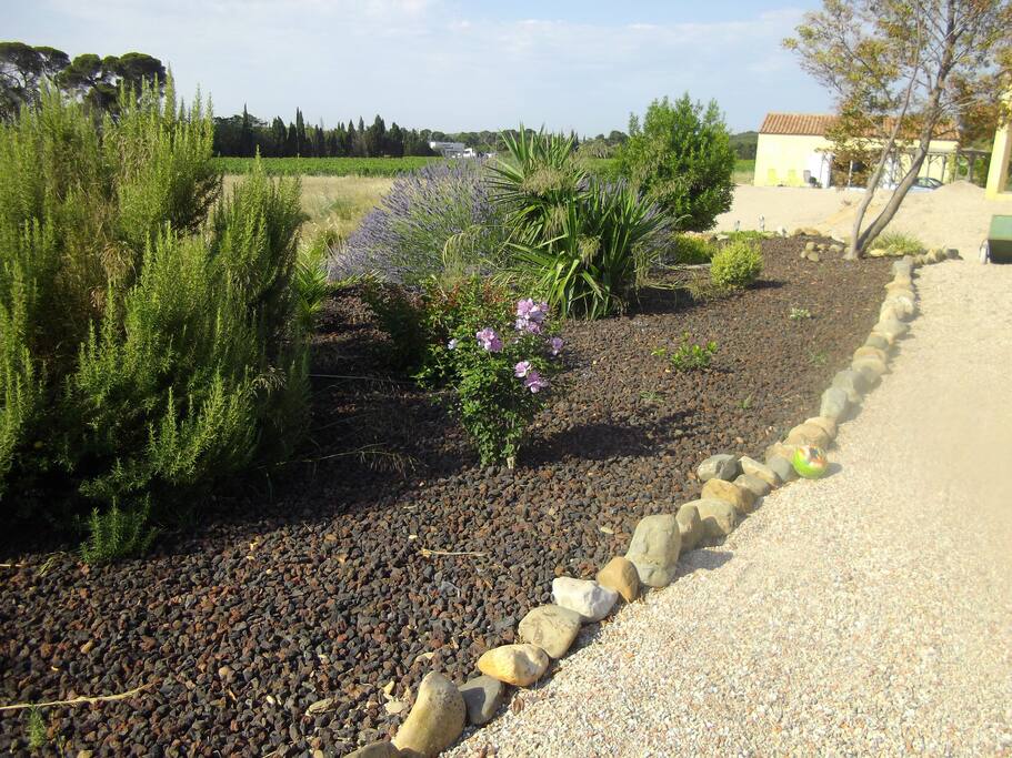JARDIN D'ORNEMENT