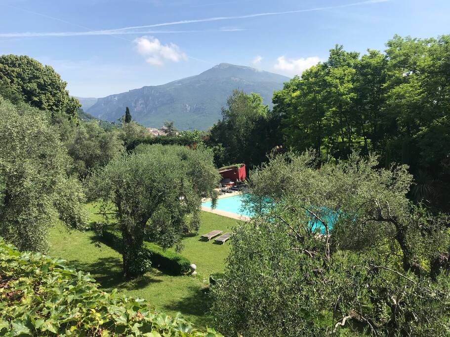 view from terrace