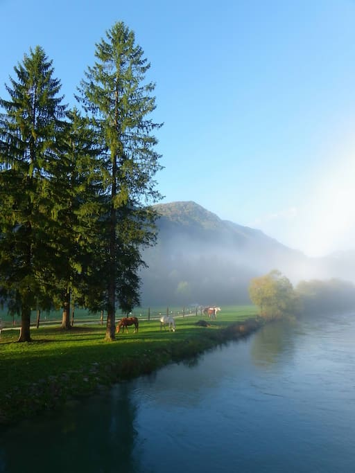 Ribno River
