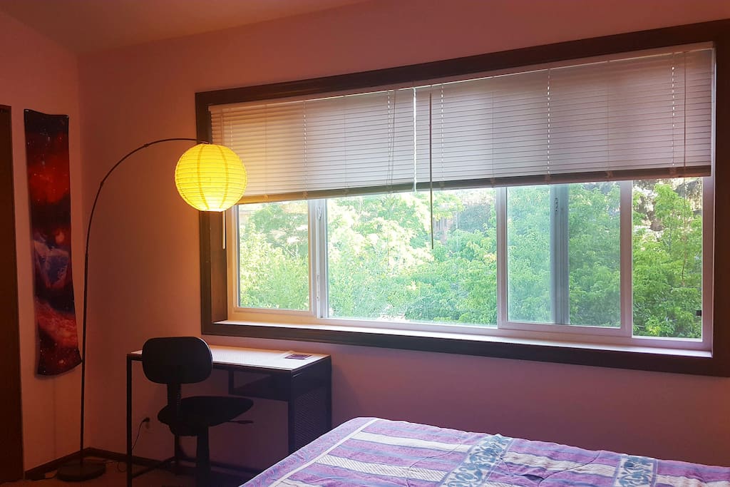 Room has laptop desk and large, south-facing window looking out to trees.