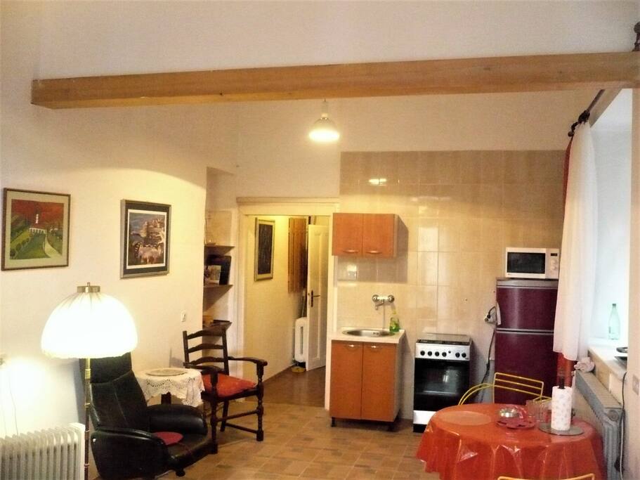 View at the kitchen part of the studio (microwave, owen, stove, big fridge)