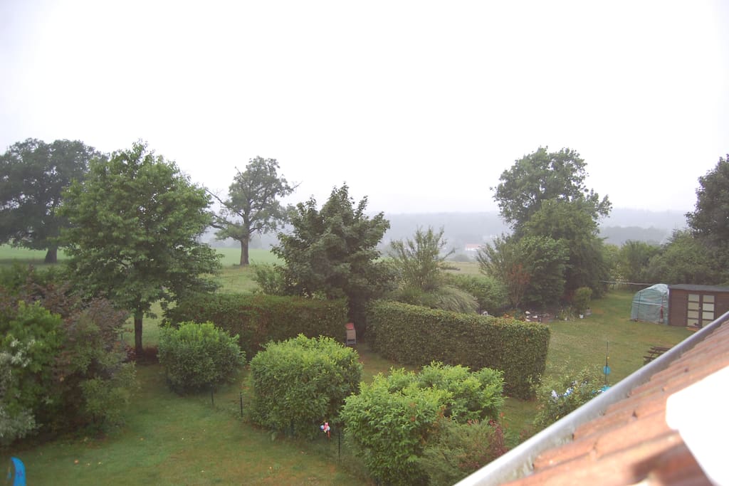 le jardin et c'est environs