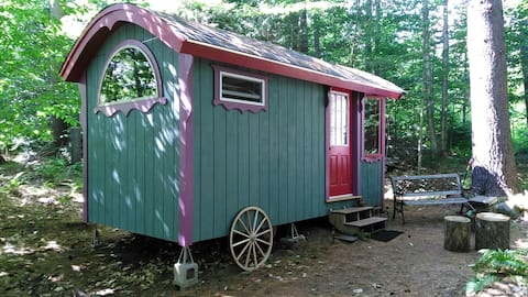Gypsy Wagon in the Woods