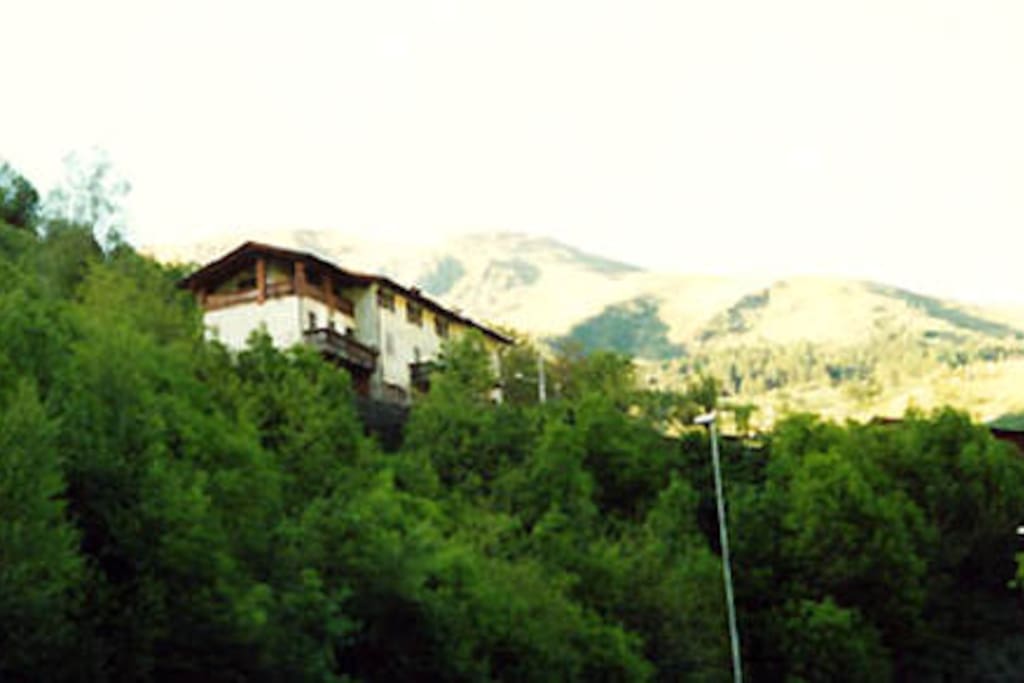 View from the house