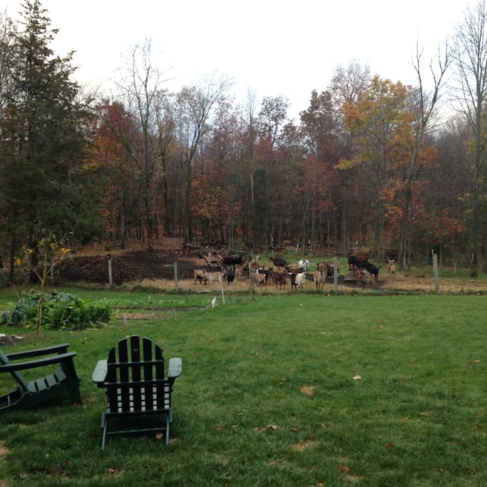 End of fall