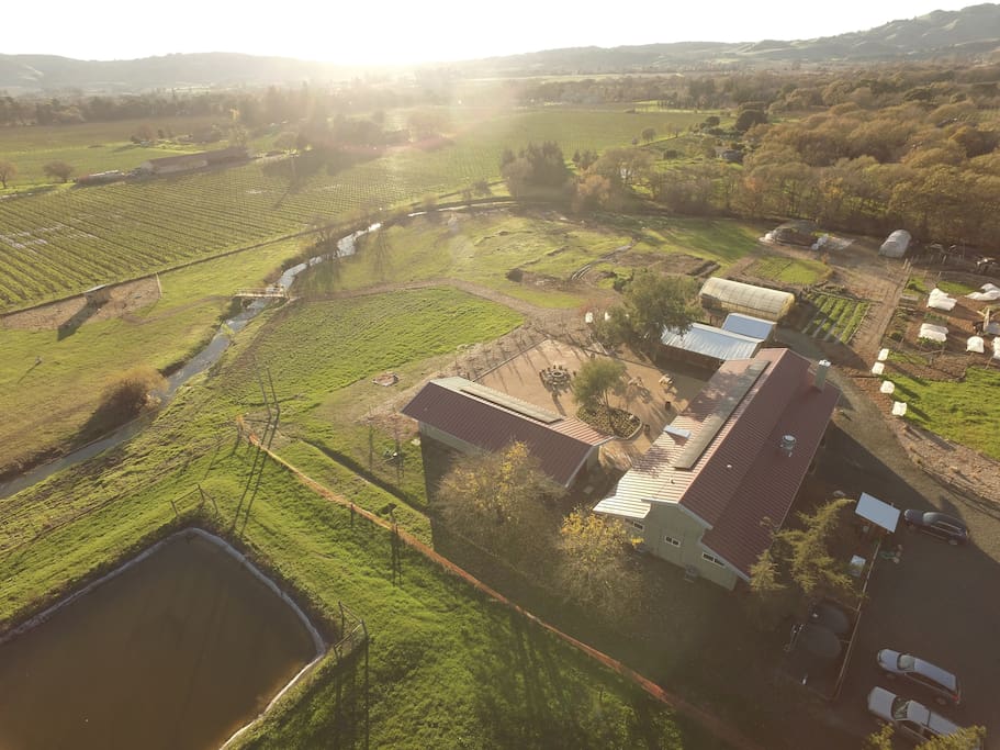 A birds eye view of our verdant farm and Modern Barn Houses located just a mile from the historic Sonoma plaza.