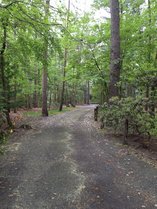 Tucked away in a cul-de-sac street... in a safe quiet lake neighborhood...