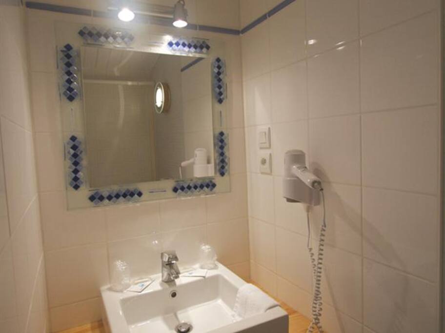 Salle de bain avec douche et WC