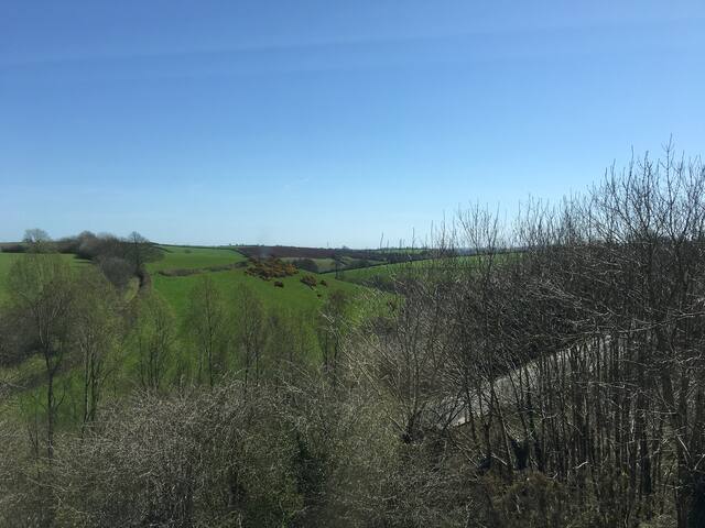 1 bed flat in Liskeard
