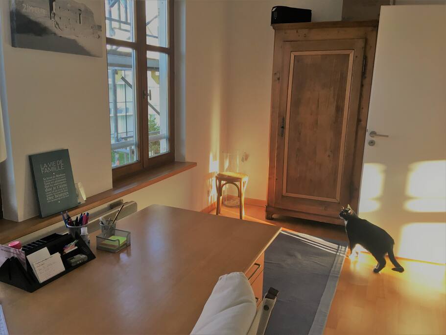 Bureau / chambre lit 1 personne