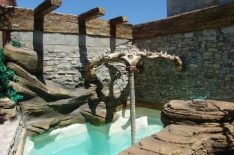 A uniquely designed pool is surrounded by stone walls, creating a natural and rustic ambiance. The pool features an organic shape with clear turquoise water. A sculptural palm tree element rests at the edge, enhancing the tranquil setting for relaxation.