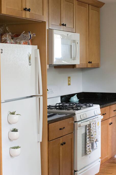 Shared Kitchen