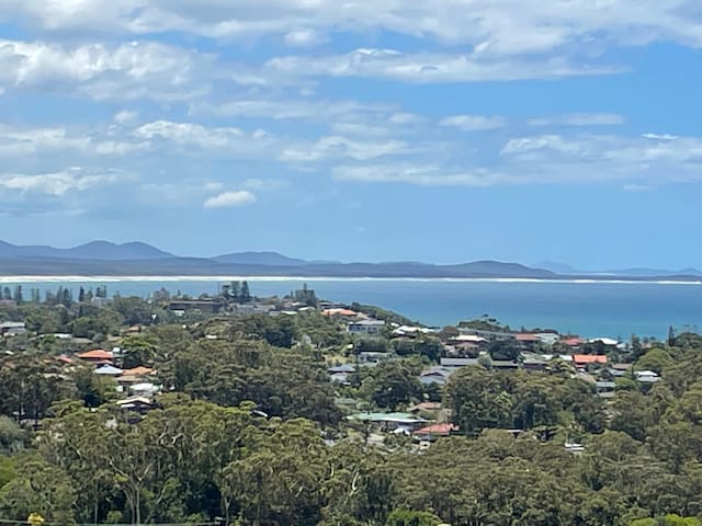 Whale watch from huge relaxing deck