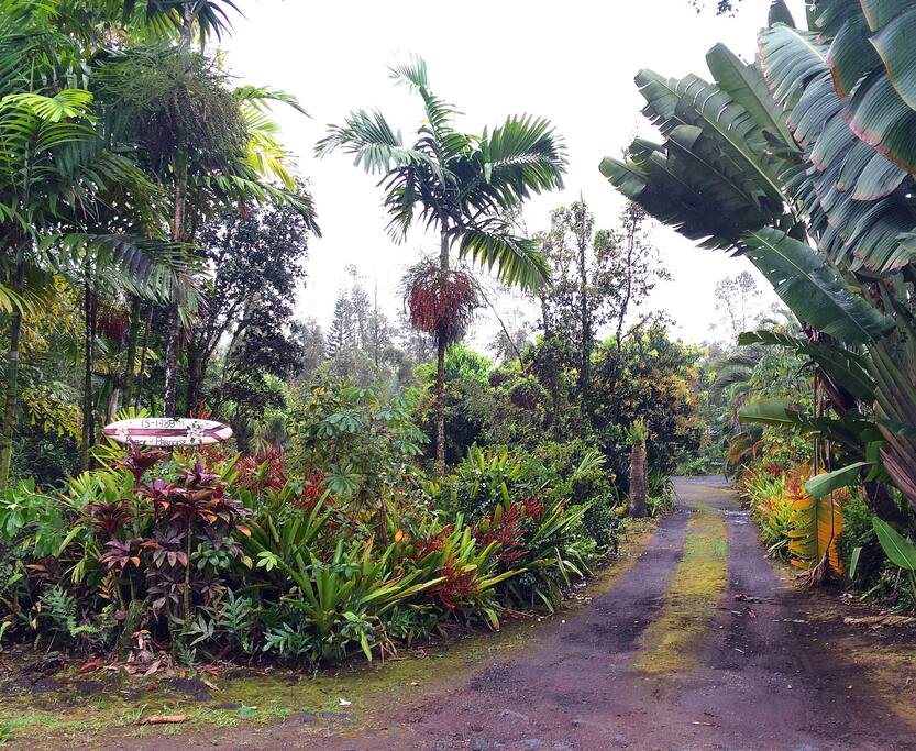 Welcome to our Peace of Paradise.