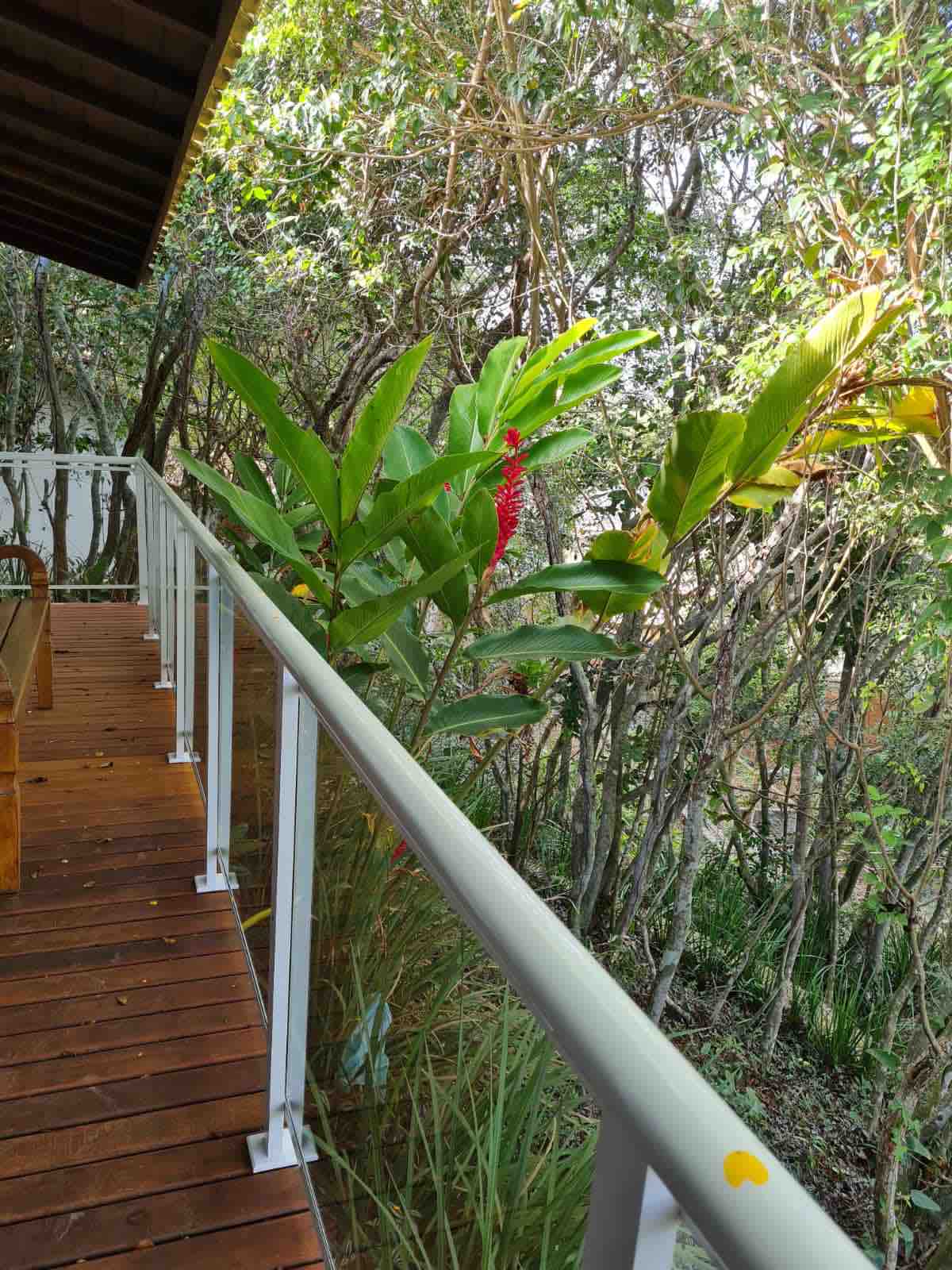 A private balcony is displayed, featuring a wooden deck and transparent railing. Lush greenery surrounds the space, with vibrant tropical plants creating a natural ambiance. Sunlight filters through the leaves, enhancing the sense of tranquility and connection to nature.