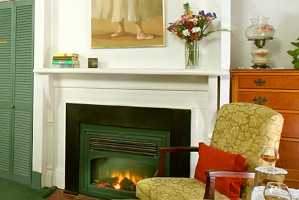 Synphony Electric Fireplace.
