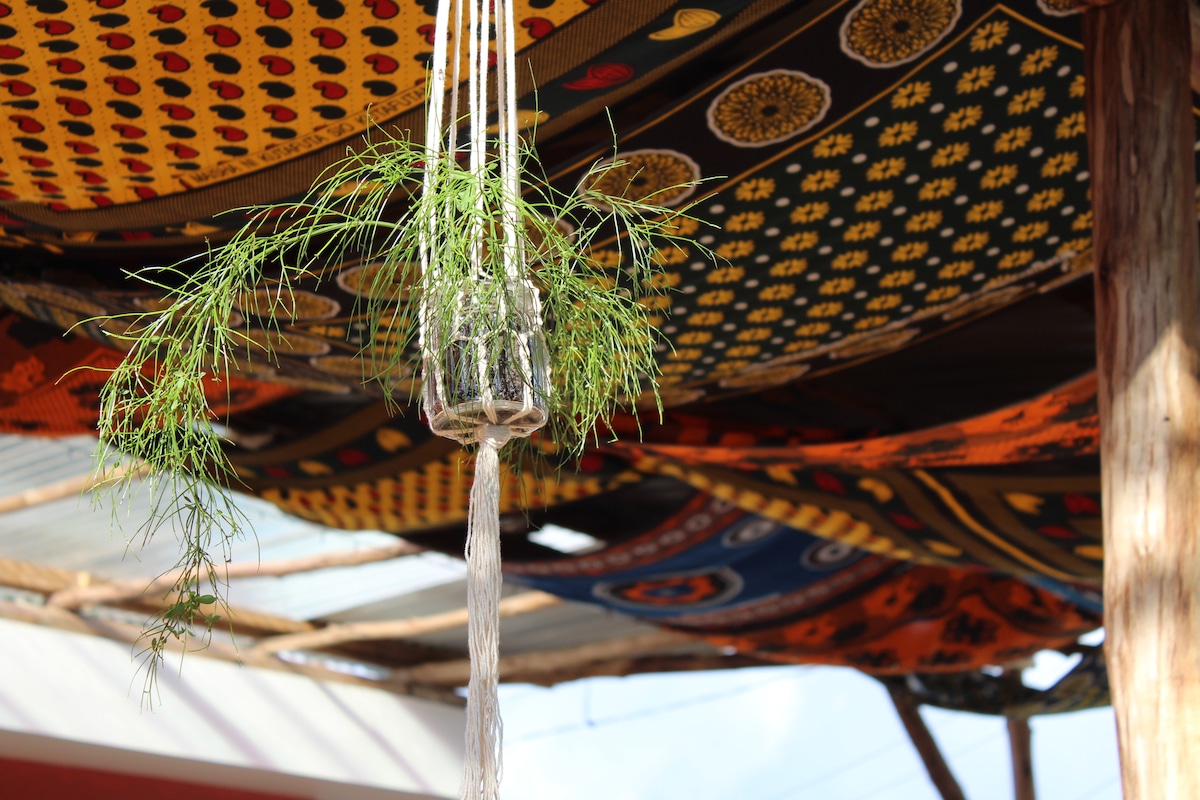 A woven hanging planter with greenery is suspended from a colorful ceiling adorned with patterned textiles. The diverse fabrics feature vibrant colors and intricate designs, creating a lively and inviting atmosphere in the shared space.