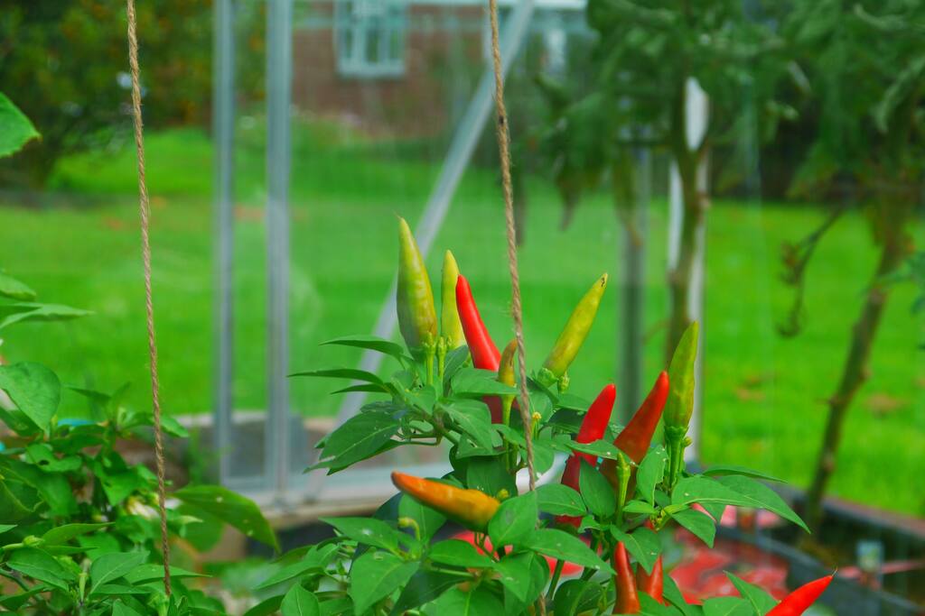 A welcome as warm as chilli's :)