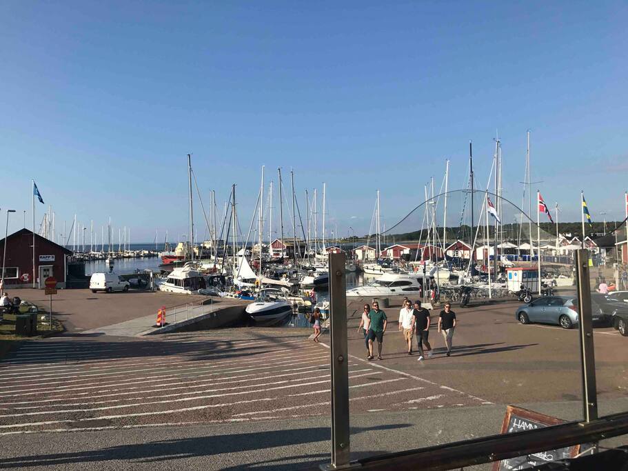 Hamnen i Torekov