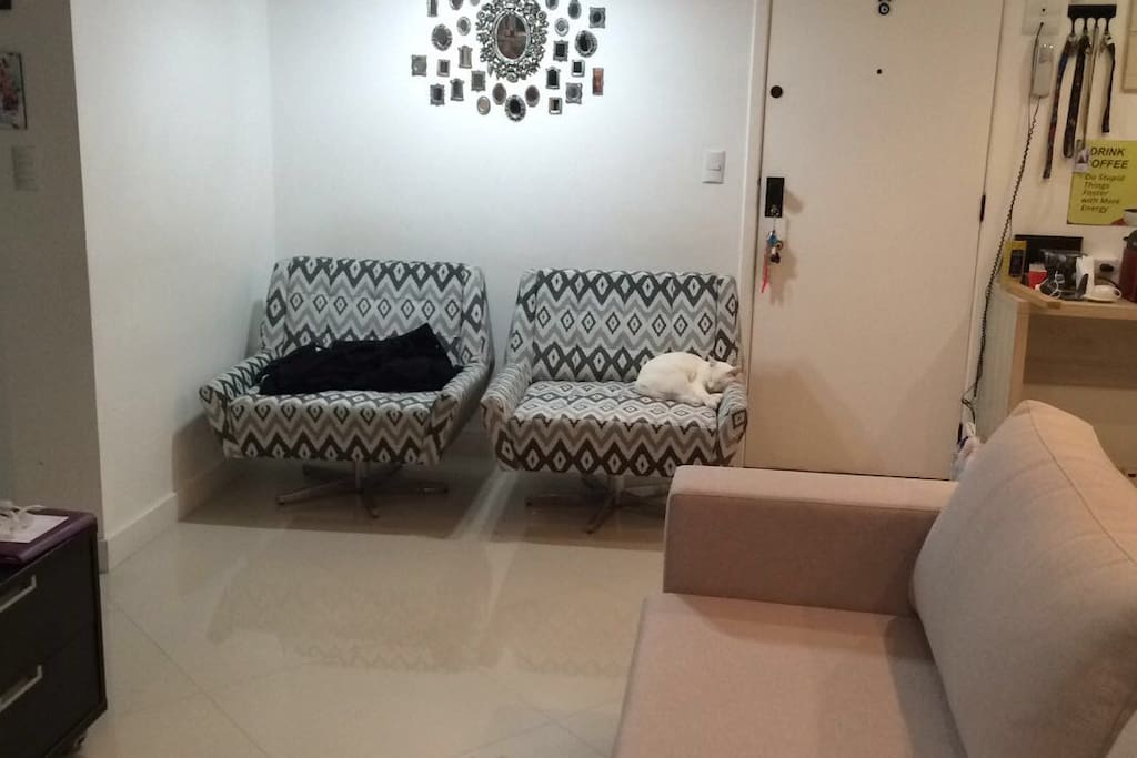 Living room and the cat