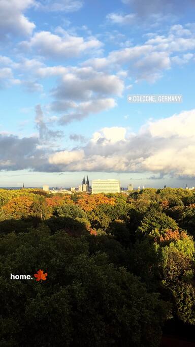 Ausblick