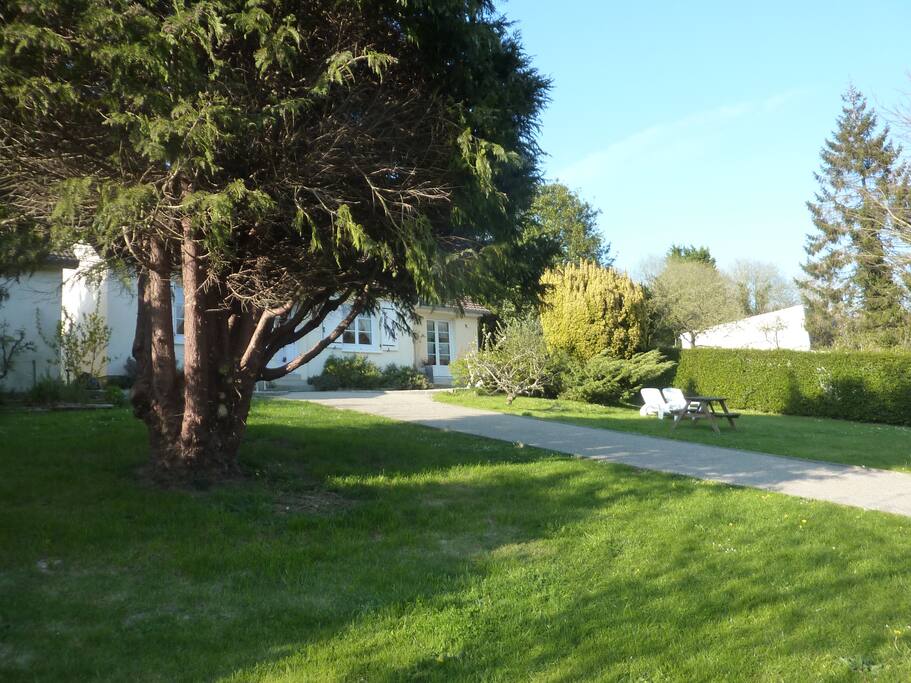 Jardin devant la maison