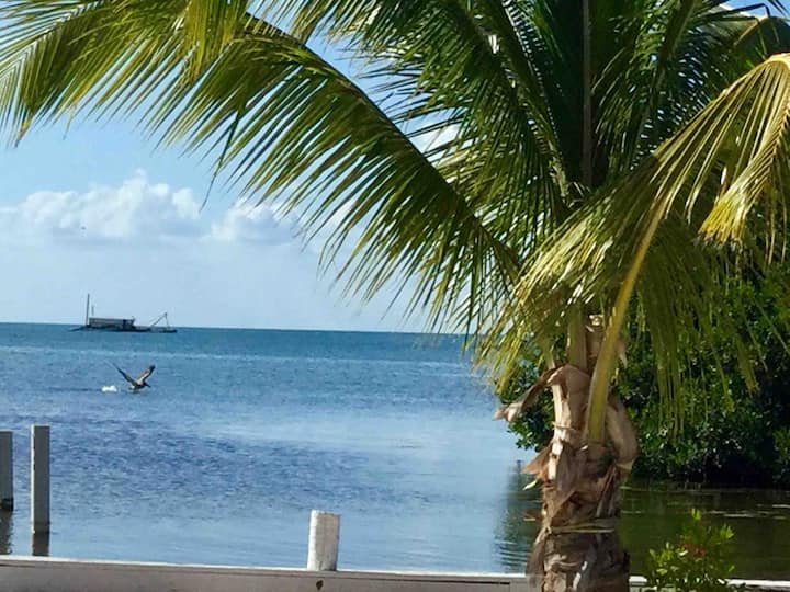 Hummingbird House Birdhouses Luis and Lucrecia. Houses for Rent in