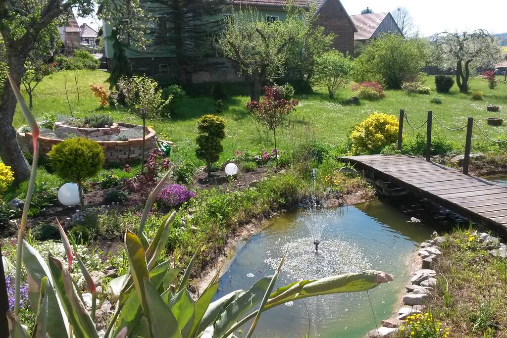 Garten im Sommer